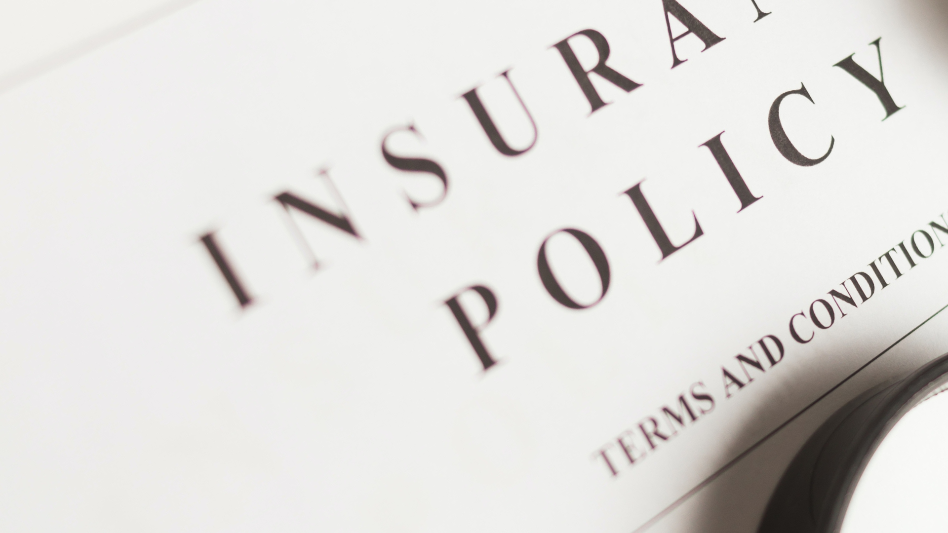 insurance policy