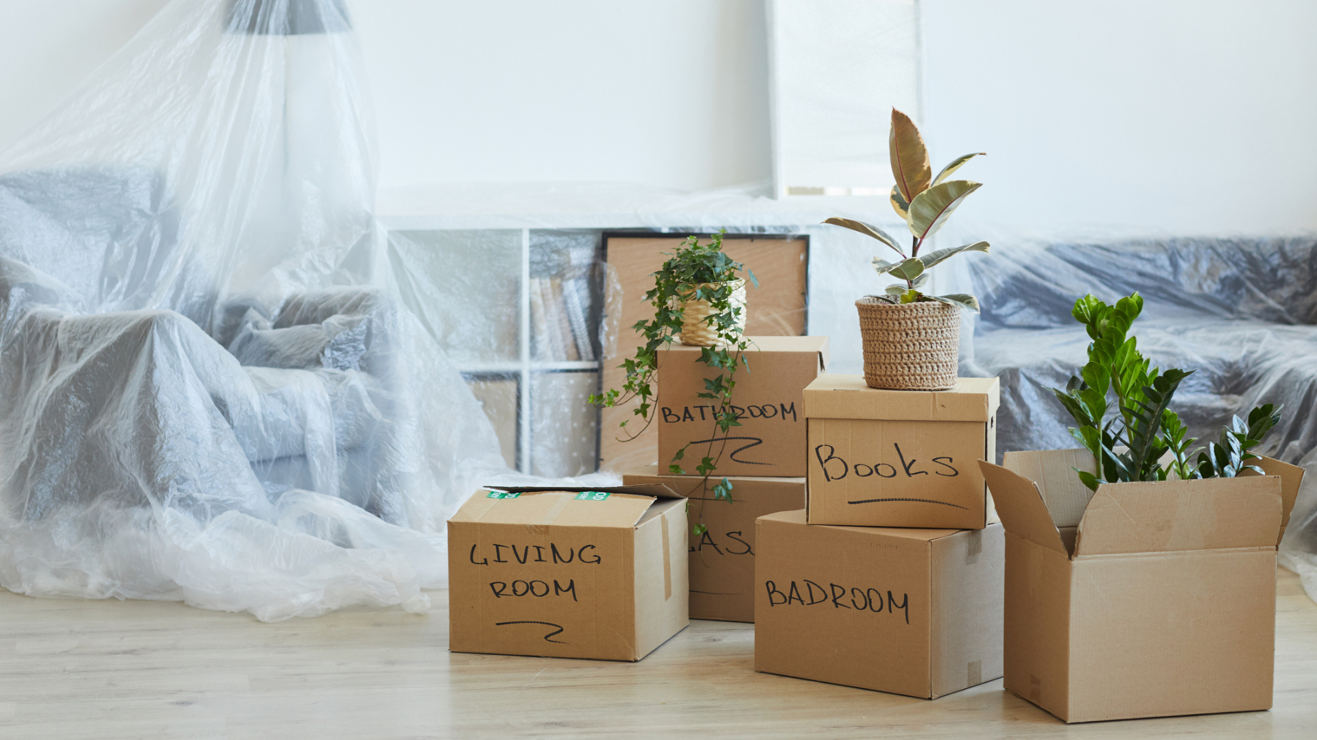 moving house costs