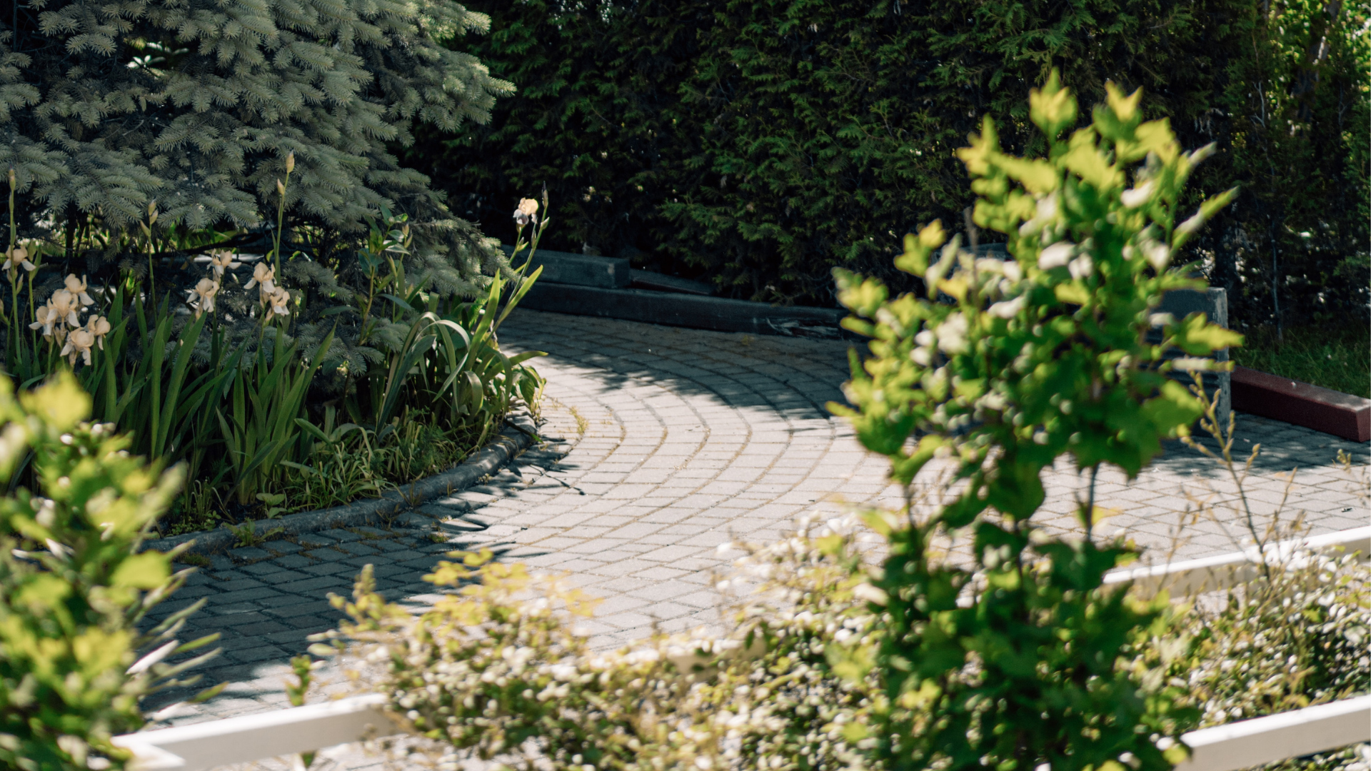 driveway paving