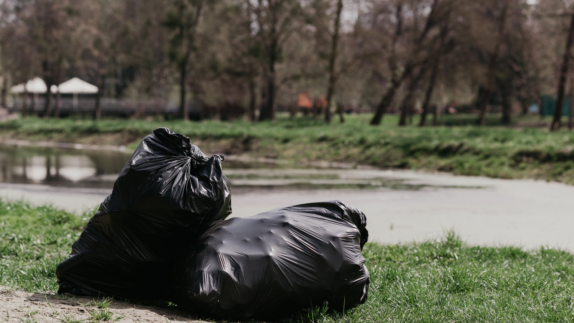 hiring a skip bin