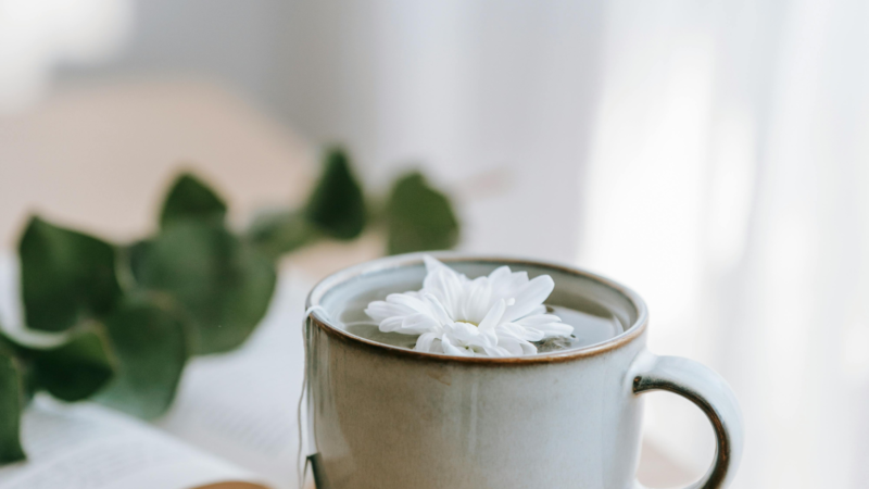 stress of moving house